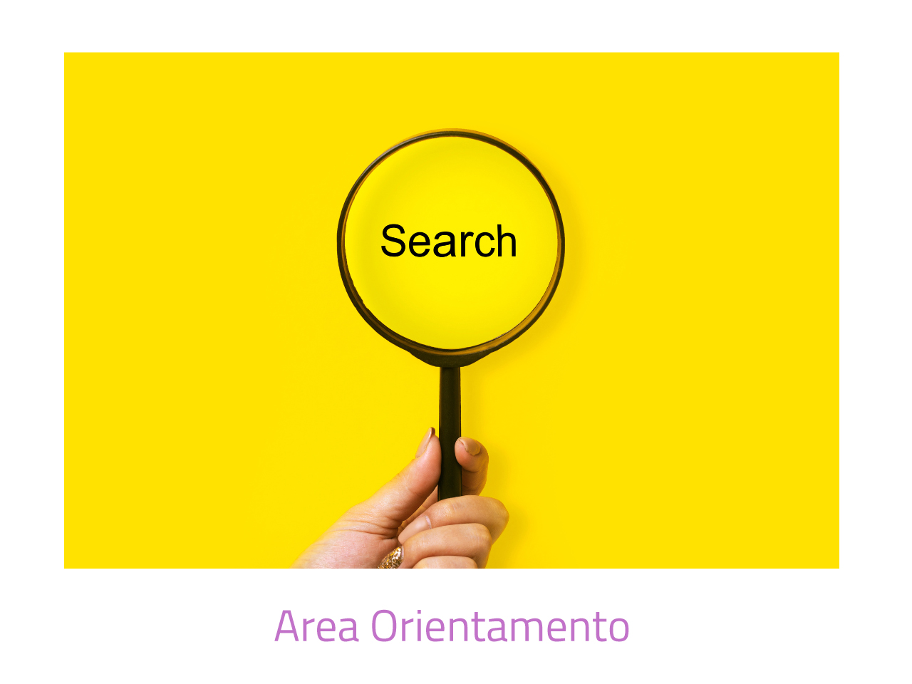 Area orientamento